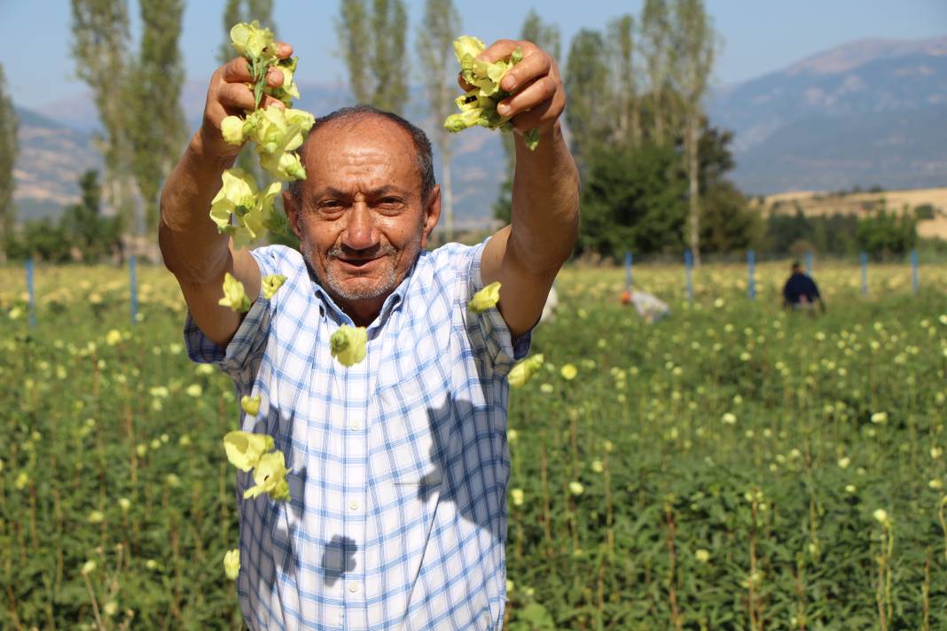 Amasya üretiyor, Konya yiyor 2